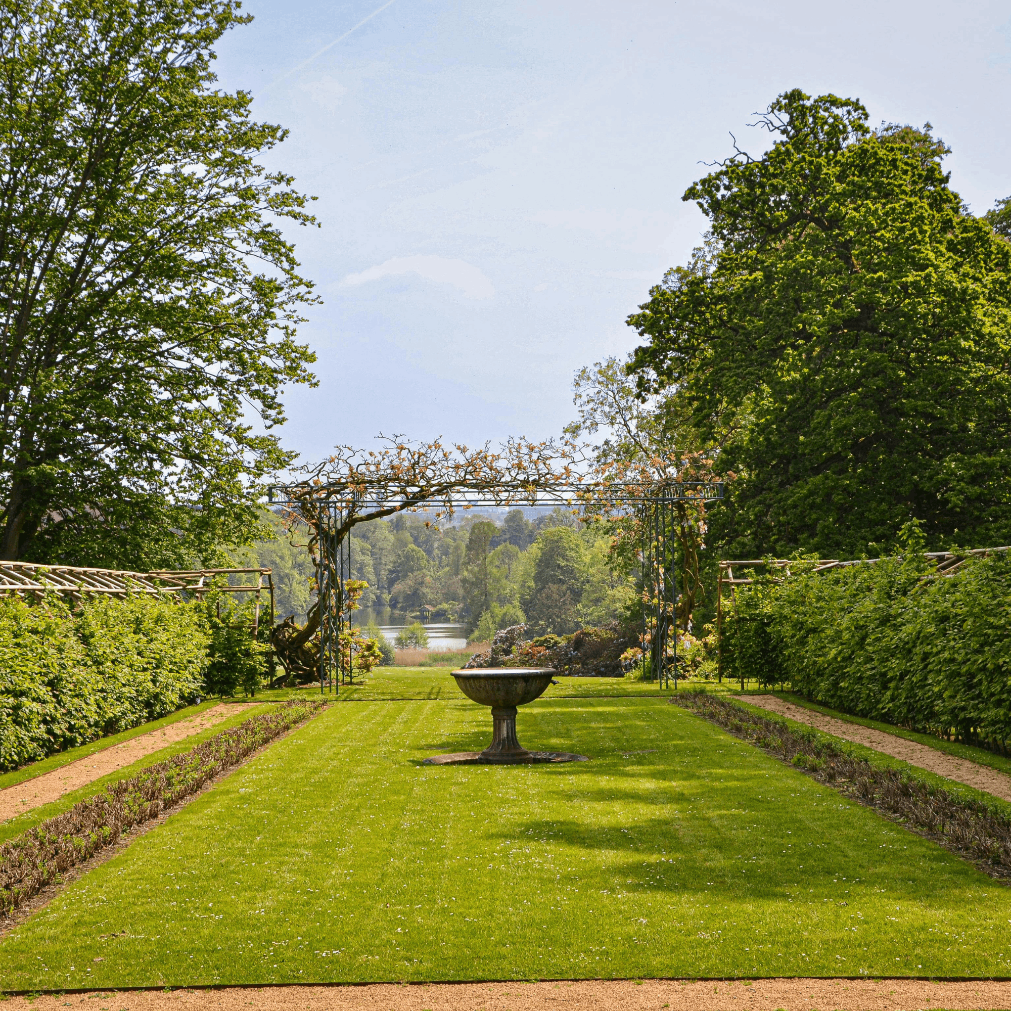 Lawn & Landscaping Services